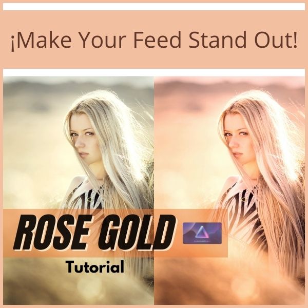 How to create a Rose Gold Lifestyle look filter for your posts? In this video, I'm going to show you how to do that