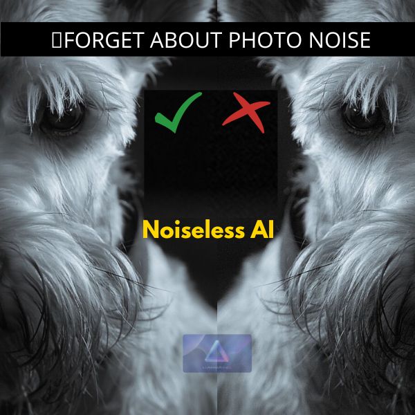 Luminar Neo Noiseless AI Extension